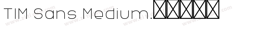 TIM Sans Medium字体转换